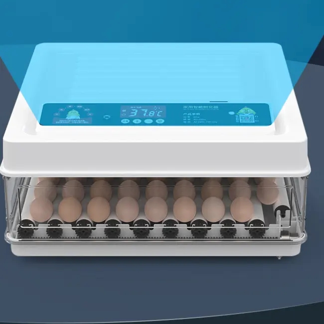 チキンダックターキーダチョウガチョウウズラの卵のための小さな家庭用のWeiwei自動卵インキュベーター