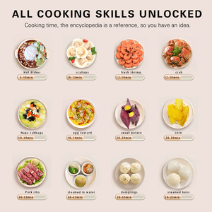 Cuisinière à <span class=keywords><strong>vapeur</strong></span> électrique de petite taille pour le riz, idéale pour les petites cantines, les hôtels et les restaurants - Product Image 6