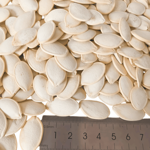 त्वचा के साथ 145 ग्राम सफेद कद्दू के बीज चीन मूल क्रिस्पी चाय स्नैक थोक थोक - Product Image 4