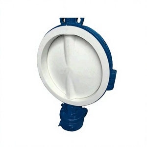 Válvulas de Mariposa con Revestimiento de PTFE de Dos Vías para Uso Químico y Farmacéutico - Product Image 1