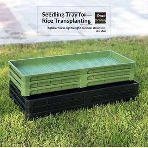 Plateau de semis en plastique multi-usages, plateau de pépinière pour riz avec trous de drainage, plateau de démarrage agricole pour légumes/riz - Product Image 2