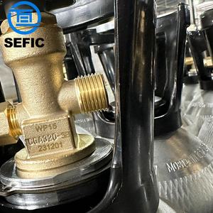 Sefic 2.5lb 5lb 10lb 15lb 20lb in alluminio <span class=keywords><strong>Co2</strong></span> serbatoio 1800psi vuota bottiglia per bevande - Product Image 4