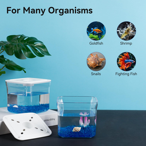Vente en gros d'aquariums pour poissons Betta en acrylique transparent avec éclairage LED, kit d'aquarium de bureau de 0,4 à 0,6 gallon avec couvercle, décoration végétale (MOQ 50) - Product Image 5