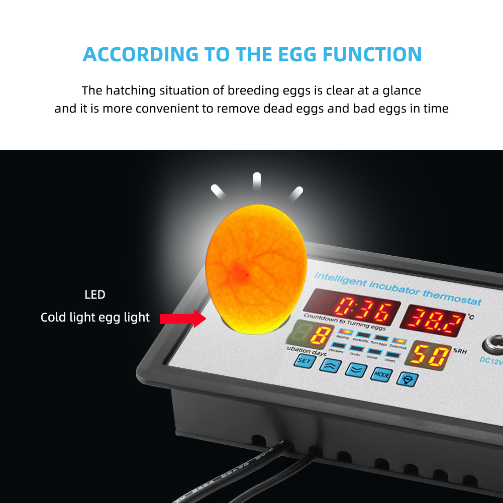 220V Digital Temperature Controller Refrigerator Thermostat for Incubator STC-9002 with Sensor(图6)