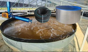 Grote Gespecialiseerde Landbouw Tilapia Meerval Zuid-Amerikaanse Garnalen Met Ronde Tankvis - Product Image 3