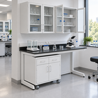 Meuble de laboratoire mobile sur roulettes, poste de travail réglable en hauteur en acier pour laboratoire scientifique scolaire