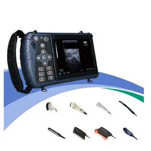 Dawei Cheapest Portable Veterinary Ultrasound Machine Vet Ultrasound Scanner For Animals