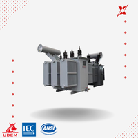 Transformateur de puissance triphasé 35 kV 8000 kVA S13 à retour de flux, immergé dans l'huile, en aluminium, pour projet de réseau rural