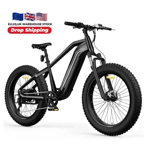 US EU Lager Voll federung 48v 750w 26 "Elektro fahrrad E-Bike Aluminium rahmen Elektro fahrrad E-Bike