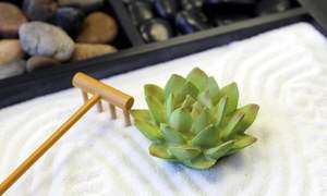 Kit de bureau de <span class=keywords><strong>jardin</strong></span> Mini <span class=keywords><strong>Zen</strong></span> <span class=keywords><strong>Sable</strong></span> en résine blanche avec figurine de Lotus 3 sections Base carrée noire Roches de rivière - Product Image 4