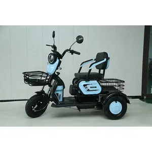 Y3-XK 600w baking paint thickened carbon steel double row electric tricycle household electric tricycle