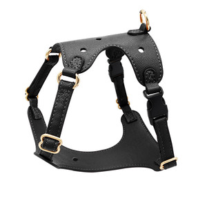 Arnés, Correa, Collar, Anillo para el Cuello y Diadema para Perro con Diseño de Dibujos Animados - Product Image 4