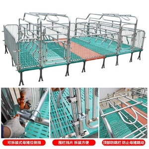 Cage à truies intégrée 2,2*3,6m : Réduit les coûts de surface au sol dans les petites exploitations porcines - Product Image 5