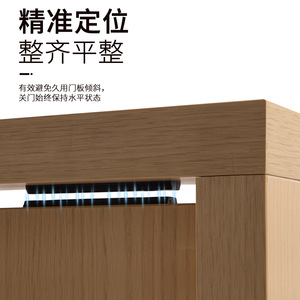 Betoci Axle Door Magnetic Positioning Plate POM Material Slot Free Hidden Door Hardware Accessory - Product Image 2