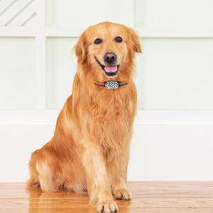 Dispositivo de Rastreo <span class=keywords><strong>GPS</strong></span> 4G Inalámbrico para Mascotas, Localizador de <span class=keywords><strong>Collar</strong></span> Impermeable para Perros y Gatos, Buscador de Animales, Rastreador de Mascotas - Product Image 6