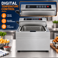 Friteuse verticale de table pour poulet frit, frites, jambon et saucisses