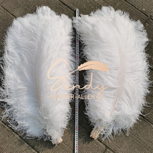 Plumas de Avestruz Naturales Blancas Grandes de 75-80cm, Plumas de Avestruz al por Mayor para Centros de Mesa de Bodas y Carnavales - Product Image 5