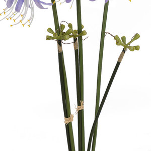 Vente en gros <span class=keywords><strong>de</strong></span> tissu <span class=keywords><strong>de</strong></span> soie artificielle avec des fleurs au toucher réel <span class=keywords><strong>Mandala</strong></span> rouge <span class=keywords><strong>fleur</strong></span> <span class=keywords><strong>de</strong></span> sable petit bouquet <span class=keywords><strong>de</strong></span> <span class=keywords><strong>lotus</strong></span> cramoisi - Product Image 4