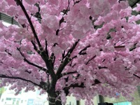 Nouveaux Produits Grand Arbre à Fleurs 3.6m de Haut et 6m de Large, Cerisier Artificiel pour Décoration