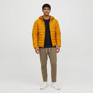 Wholesale Latest High Quality Men's Canvas <b>Puffer</b> <b>Jacket</b> Custom Printed Logo Breathable Quick Dry <b>Thin</b> Oversized Winter Stand - Product Image 1