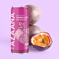 Vente en gros OEM de boissons vietnamiennes au thé kombucha à bon prix Boisson gazeuse aux fruits gingembre Ingrédients naturels Fabriqué Vietnam