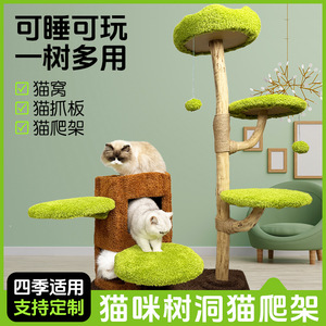 Source manufacturer of solid wood <b>cat</b> <b>climbing</b> <b>frame</b>, <b>cat</b> bed, and <b>cat</b> tree integrated, space-saving sisal <b>cat</b> jumping - Product Image 5