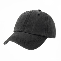 Op maat gemaakte geborduurde logo pet, effen trucker baseball snapback cap, gewassen zwarte pet