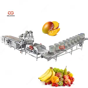 Automatische Industriële Fruit Wassen Granaatappel Reinigingsmachine Wasmachine Mango Borstel Wasmachine