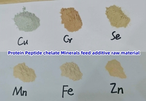 สารประกอบกรดอะมิโนผสมธาตุรองรับการดูดซึมชนิดเชลเลตสำหรับอาหารสัตว์ (ไกลซีน, กรดกลูตามิก, ไลซีน) - Product Image 6