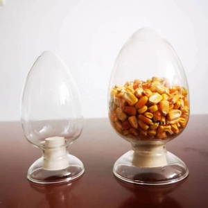 Bottiglia Conica in Vetro per Semi, Vetreria da Laboratorio, Bottiglia a Forma di Pera per <span class=keywords><strong>Esposizione</strong></span> Campioni con Tappo in Gomma - Product Image 6