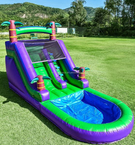 Alquiler de Toboganes Inflables Acuáticos para Fiestas, Tobogán Inflable de Grado Comercial con Piscina para Niños, Material de PVC - Product Image 5