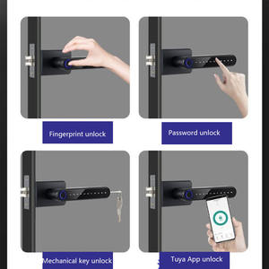 דלת כניסה חכמה מנעול עם עבור טביעת אצבע ביומטרי Bluetooth & כרטיס זיכרון אלומיניום מסגרת אלומיניום נדנדה זכוכית - Product Image 5