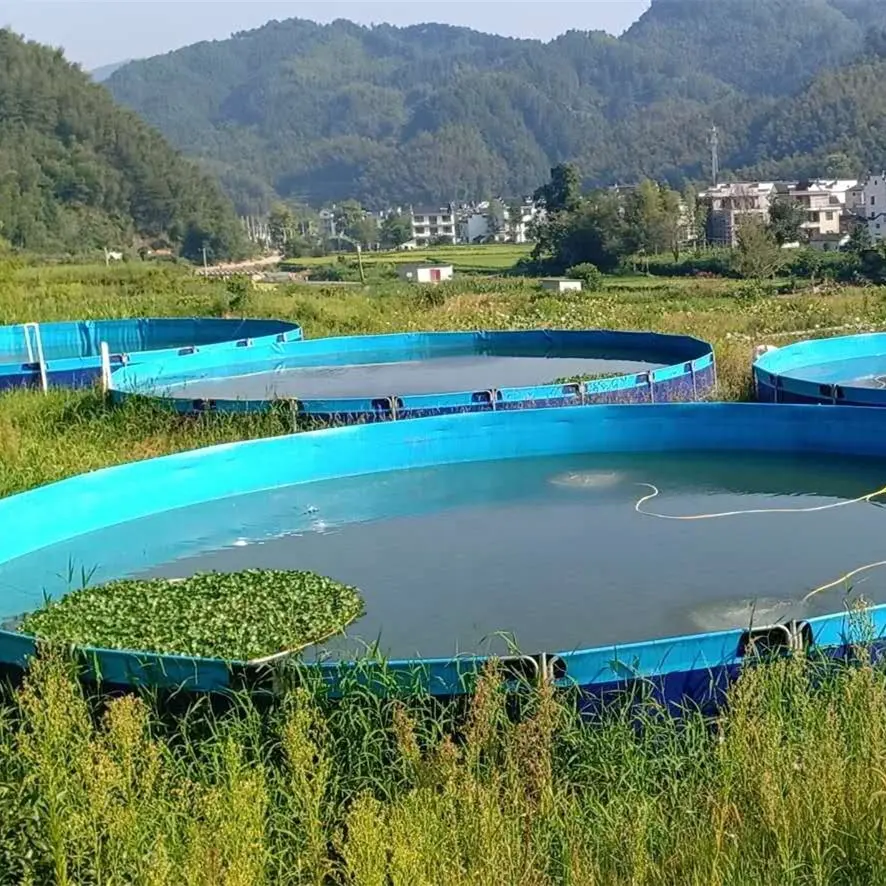 Trung Quốc Nhà Máy Cá Farming Hdpe Nhựa Hình Chữ Nhật Pond Liner Cho Azolla