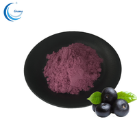 Poudre lyophilisée de fruits et légumes 99% Poudre lyophilisée de baies d'açaï