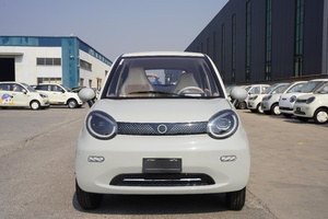 NE Véhicule Utilitaire Électrique (VE) à Conduite à Gauche, 4 Roues Motrices, Recharge Rapide, Puissance Maximale 13000W, Autonomie <100km - Product Image 2