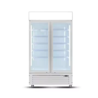 Réfrigérateur de présentation de boissons à refroidissement direct vertical à porte simple à température unique mécanique pour supermarché commercial