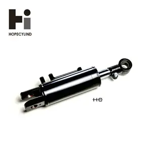 HC изготовленный на заказ промышленный автомобиль трактор вилочный погрузчик гидравлический цилиндр двойного действия