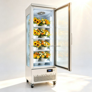 Vitrine à fleurs à porte unique avec système de compression inférieure et flux d'air uniforme pour une conservation longue durée des fleurs fraîches coupées - Product Image 1