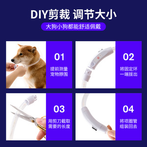 Collier lumineux pour chien, étanche, rechargeable par USB, coloré, personnalisable. - Product Image 4