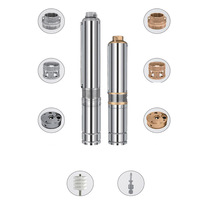 Ensemble de pompes de puits solaires submersibles en acier inoxydable 4 pouces 0,5 hp 1hp 3hp 750w Système d'irrigation de surface