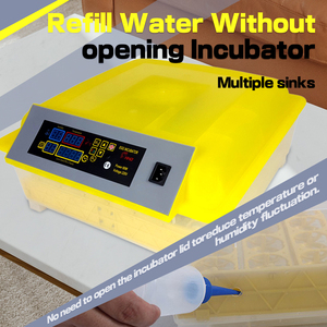 Điện Kép <span class=keywords><strong>Hatchery</strong></span> Lồng Ấp Yếu Tố Làm Nóng Tự Động Gà 48 Trứng Chuyển Hệ Thống Từ Trung Quốc - Product Image 4