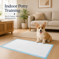 Tapis d'apprentissage jetables écologiques pour chiots, avec surface douce et respirante SAP, noyau super absorbant, anti-fuites, vente en gros