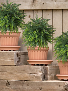 Buisson artificiel vert en faux cèdre résistant aux intempéries pour l'aménagement paysager des jardins, des patios et des allées - Product Image 6