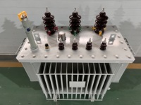 Transformateur de puissance immergé dans l'huile CE Huamei S13-M triphasé à triple enroulement cuivre/aluminium avec régulateur 50/60Hz