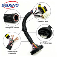 A00109 BeiXing Connecteur de voiture IP66 Faisceau de câbles Conducteurs en cuivre étamé 24 broches Personnalisé pour automobiles et motos