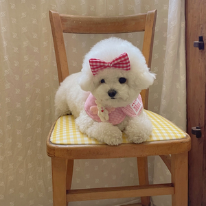 Nuevo del fabricante: Capa para perro con lazo, Babero para mascotas, Toalla triangular para la saliva del perro, Accesorios para mascotas - Product Image 4