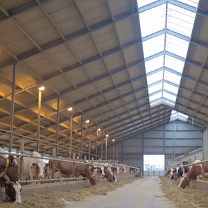 Chine Exportation Bâtiment de structure en acier personnalisé Entrepôts de maison de ferme Atelier préfabriqué pour la construction en métal - Product Image 1