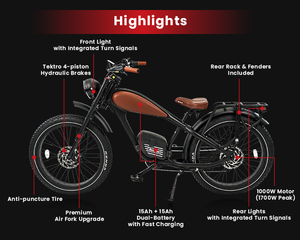 Xe đạp điện ReviBike 26 inch khung hợp kim nhôm, hai bình điện Lithium 30AH, kiểu dáng cổ điển, phanh đĩa, lốp béo, xe đạp điện cổ điển - Product Image 2