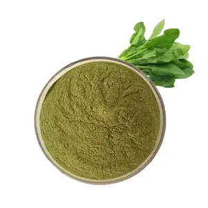 Natural Plant Extract Spinacia Oleracea/Spinach Extract