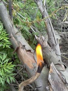 Offre spéciale Kit allume-feu de survie en plein air corde de chanvre accessoires d'allumage bois BBQ cuisson cuisson panier couvre extérieur - Product Image 5